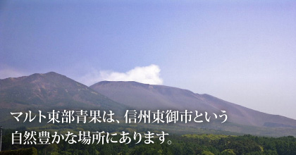 マルト東部青果は、信州東御市という自然豊かな場所にあります。